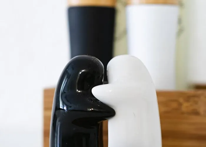 Apartament студио черно и бяло